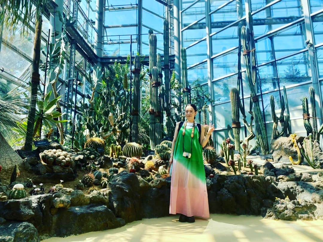 Wakanaさんのインスタグラム写真 - (WakanaInstagram)「咲くやこの花館その③🥳🎉  「虫を食べる植物展」開催中ということで、ウツボカズラをたくさん観察したり🧐ハエトリソウに食べられたりしました🤭 ウツボカズラすごく好きなんだけど、秋冬で枯らしてしまった経験があるワタクシ。 やっぱり年中暖かい温室でないと難しいよね😓  外の鶴見緑地公園では、当時の花博のマスコットキャラクターの花ずきんちゃんが描かれたマンホールを発見!!🧐  咲くやこの花館の中も周りの外も、全部本当に緑美しい素晴らしい場所でした😍💕 また絶対に行く‼️‼️  #咲くやこの花館 #ウツボカズラ #鶴見緑地公園」8月1日 21時24分 - wakana1210_official