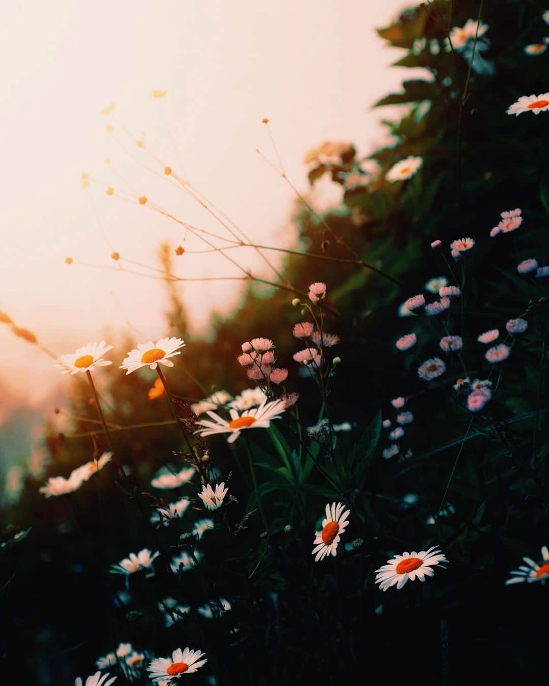 kaelのインスタグラム：「Happy new month!  How is it August already?」