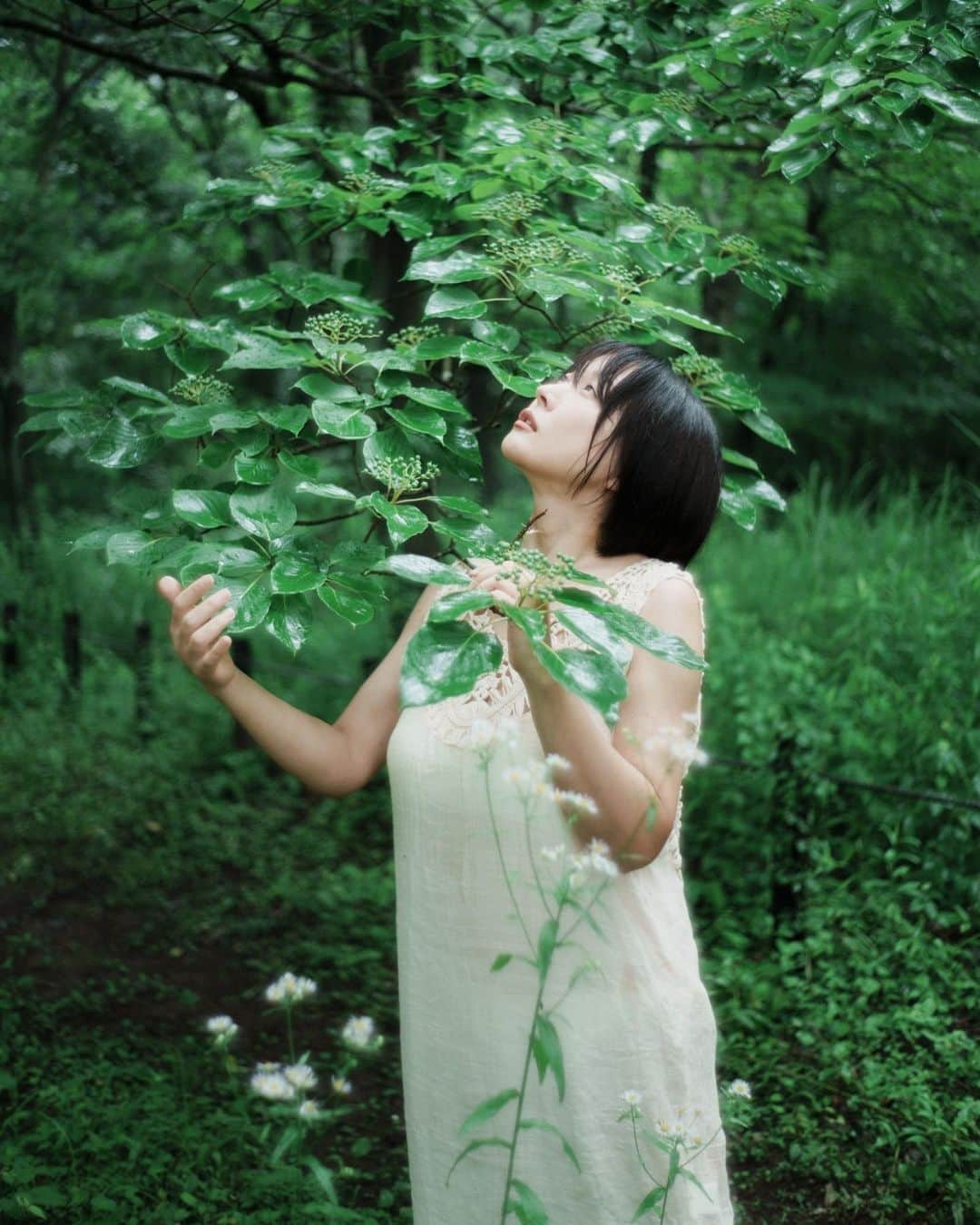 羽生アリサさんのインスタグラム写真 - (羽生アリサInstagram)「2023.06.12 @wagnus  #photography #photo #📸 #☔️ #🌳」8月1日 21時34分 - arisa_hanyu