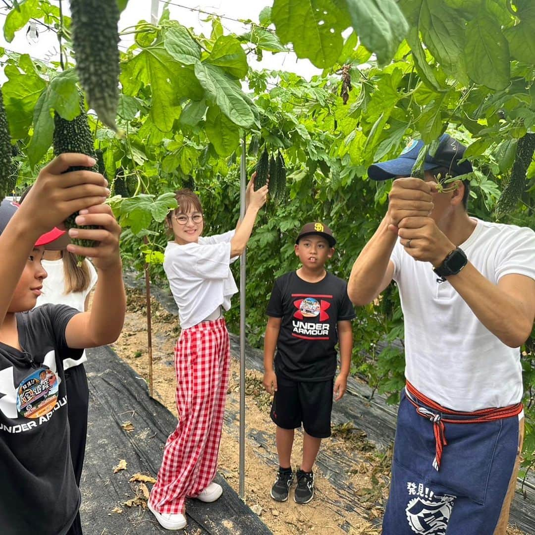 石田靖さんのインスタグラム写真 - (石田靖Instagram)「テレビ大阪⑦『発見❗️食遺産』 ゲストの鈴木奈々さんと和歌山県 高野山&日高川町で食遺産探し💨 日高川町の回は 苦手なアノ食材克服しちゃうぞSP‼️ 小学5年生の苦手な食材を 食遺産レシピで克服出来るのか？ OAお楽しみに〜 #テレビ大阪 #発見食遺産 #高野山 #根本大塔 #かねや #清浄心院 #宿坊 #高野山麓精進野菜 #坂口農園 #苦手なアノ食材克服しちゃうぞSP #苦手食材 #克服出来るのか #鈴木奈々 #石田靖 #一期一笑」8月1日 21時43分 - yasulog