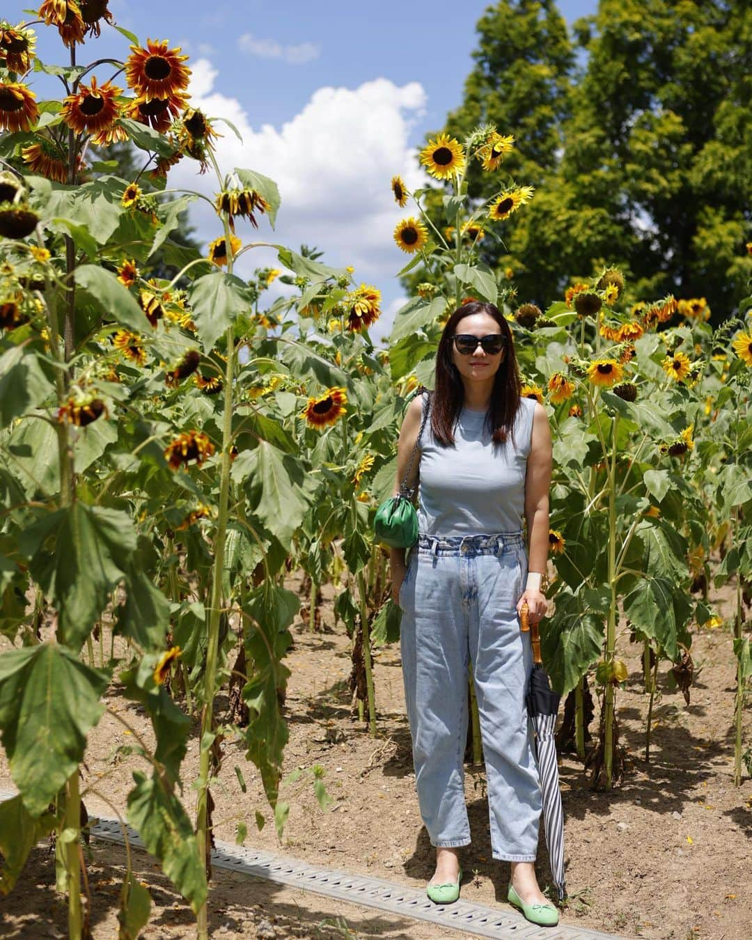 田中幸恵さんのインスタグラム写真 - (田中幸恵Instagram)「___ . ひまわりの丘🌻  満開じゃなかったけど 可愛かった♡  水色にグリーンの差し色が 夏っぽくて🏝️  @myine_my の バレエシューズはうめはんポップアップのときに オーダーしたのが届いた😊 （みんなアップしてるのを見て思い出し、 早速履いた笑🫰）  ゴールドが人気らしいけど、 わたしはイエローと迷ってグリーン💚  tops→ @batoner_japanmade  denim→ @zara  bag→ @weekendmaxmara  shoes→ @myine_my   #batoner  #zara #weekendmaxmara  #myine_my」8月1日 21時56分 - yukie__tanaka