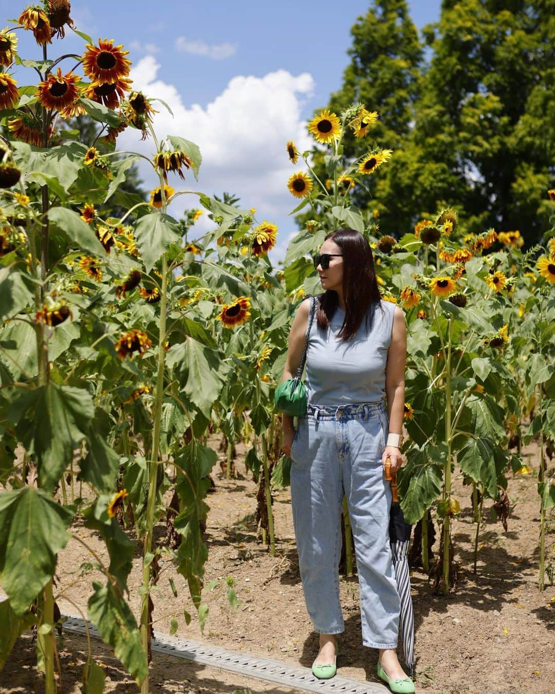 田中幸恵さんのインスタグラム写真 - (田中幸恵Instagram)「___ . ひまわりの丘🌻  満開じゃなかったけど 可愛かった♡  水色にグリーンの差し色が 夏っぽくて🏝️  @myine_my の バレエシューズはうめはんポップアップのときに オーダーしたのが届いた😊 （みんなアップしてるのを見て思い出し、 早速履いた笑🫰）  ゴールドが人気らしいけど、 わたしはイエローと迷ってグリーン💚  tops→ @batoner_japanmade  denim→ @zara  bag→ @weekendmaxmara  shoes→ @myine_my   #batoner  #zara #weekendmaxmara  #myine_my」8月1日 21時56分 - yukie__tanaka