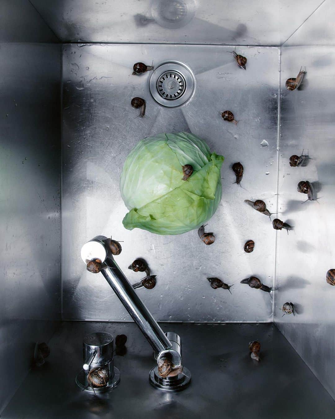 Kinfolk Magazineさんのインスタグラム写真 - (Kinfolk MagazineInstagram)「The Kitchen Sink🚰 In Issue Forty-Eight, photographer ​​@laurenbamford chronicles the fount of domestic life.  (Styling & Set Design: @sar4hcant)」8月1日 22時04分 - kinfolk