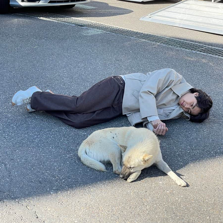 チョ・ビョンギュのインスタグラム：「길 소문 길 강아지」