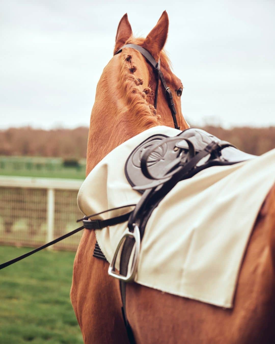 Longchampのインスタグラム