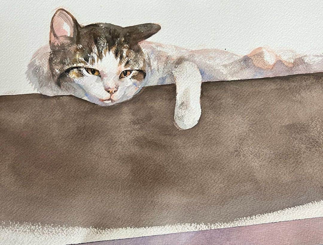 はしもとみおさんのインスタグラム写真 - (はしもとみおInstagram)「絵本のつづき  透明水彩は、浪人中工芸科に入った時に初めて扱い、アンドリューワイエスやデューラーの水彩画に魅せられそれからずっと付き合ってきた画材です。  水彩が大好きで、大学では朝ひたすら猫を描き続けてきましたが、こうして仕事で描く機会をいただき、あらためてこの画材のすばらしさと向き合うことができました。  モデルは、鎌倉に住む保護猫、ミルくん。きみが元気に暮らしてくれたおかげで、この絵本は完成しそうです。その生命に、本当にありがとう。 保護猫に愛を向けた全てのかたに届けたいです。  Thanks @ayamoln @yusukeigarashi  #watercolors #watercolor #watercolorpainting #catpainting #cat#catstagram #art#miohashimoto#五十嵐ミルク」8月16日 17時01分 - hashimotomio