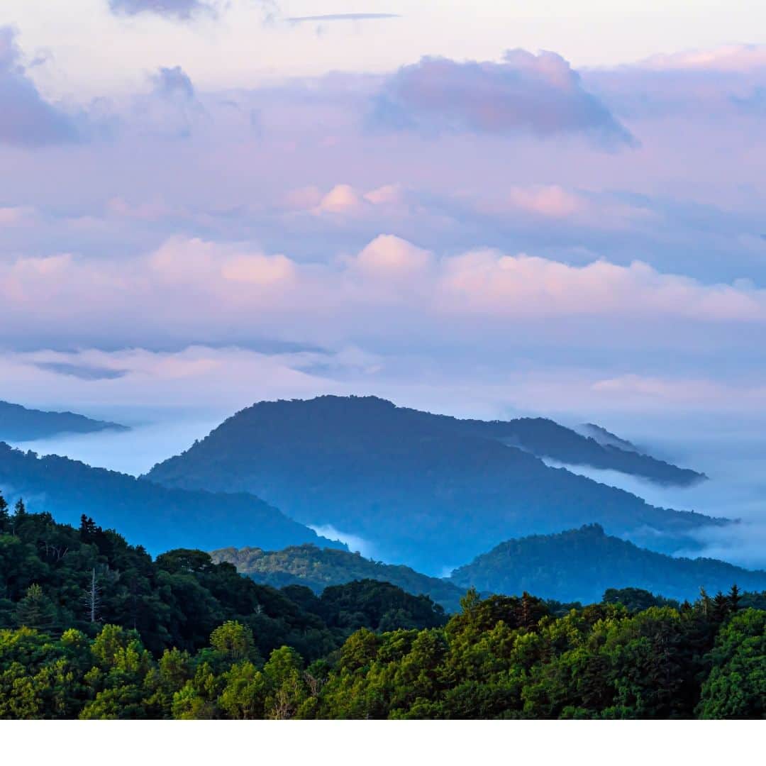 アメリカ大使館さんのインスタグラム写真 - (アメリカ大使館Instagram)「アメリカ50州を毎週1州ずつご紹介するプロジェクト「#全米50州の魅力」。第33回目は東部に位置するノースカロライナ州です。美しい大西洋岸線と山々が特徴の州です。ブルーリッジ山脈にあるチムニー・ロックと呼ばれる煙突岩は、高さ約315メートルの垂直の岩壁が特徴です。  グレート・スモーキー山脈国立公園のおよそ80％は、落葉樹が占めています。大西洋からの湿った風により、その名の通り一年の大半は霧や雲に覆われています。  📍: Chimney Rock State Park 📍: Great Smoky Mountains National Park 📍: Pier in Atlantic Beach 📍: Downtown Charlotte  #NorthCarolina #NC #TheTarHeelState #ノースカロライナ州」8月16日 17時00分 - usembassytokyo