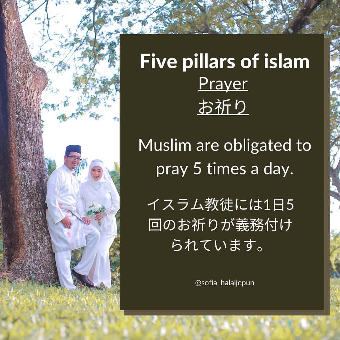 sunaさんのインスタグラム写真 - (sunaInstagram)「Five pillars of islam "prayer" イスラム教の5つの柱　"お祈り" . . Muslim are obligated to pray 5 times a day. イスラム教徒は1日に5回のお祈りが義務とされています。  ①Subuh スブー  Before Sunrise 日の出前  ②Dzuhur ズフール Around noon 正午ごろ  ③Asar アサール Around 3 pm 午後3時ごろ  ④Maghrib マグリブ After sunset 日没後  ⑤Isya イシャ Night 夜  Given that prayer isn't a big part of Japanese culture, learning about Muslims praying five times a day might seem demanding. Each prayer only takes around 5 minutes, despite some variation in prayer times. 日本人にはお祈り文化があまりありませんが、イスラム教徒が一日の中で5回もお祈りをすると聞くと、大変だなぁと思う人も多いかもしれません。 でもそれぞれのお祈りの時間は多少異なりますが、一回あたりのお祈りは約5分ほどで終わります。 . . ✴︎✴︎✴︎✴︎✴︎✴︎✴︎✴︎✴︎✴︎✴︎✴︎✴︎✴︎✴︎✴︎✴︎✴︎✴︎✴︎✴︎✴︎✴︎✴︎ このアカウントでは、改宗ムスリマSofiaがマレーシアのイスラム文化を楽しく学ぶ方法を発信しています。  On this account, Sofia, a Muslim convert posts information regarding Malaysia islamic culture so that you can learn about Malaysian Islamic culture in a fun way. ✴︎✴︎✴︎✴︎✴︎✴︎✴︎✴︎✴︎✴︎✴︎✴︎✴︎✴︎✴︎✴︎✴︎✴︎✴︎✴︎✴︎✴︎✴︎✴︎ . . #islam  #japanesemuslim   #malaysiatiktok  #muslimmalaysia #malaysian  #malaysia  #malaysiaculture  #japaneseinmalaysia  #japanesemuslimah  #orangjepun   #igmuslim  #learningislam  #muslimrevert  #revertmuslim  #muslimconvert  #islamic  #japanesemuslimah #fivepillarsofislam #muslimprayer   #マレーシア #マレーシア生活  #マレーシア移住  #マレーシア旅行  #ムスリム #イスラム  #イスラム教 #イスラム教徒 #お祈り #海外ガール  #海外在住日本人  #国際結婚」8月16日 17時09分 - sofia_muslimjapan