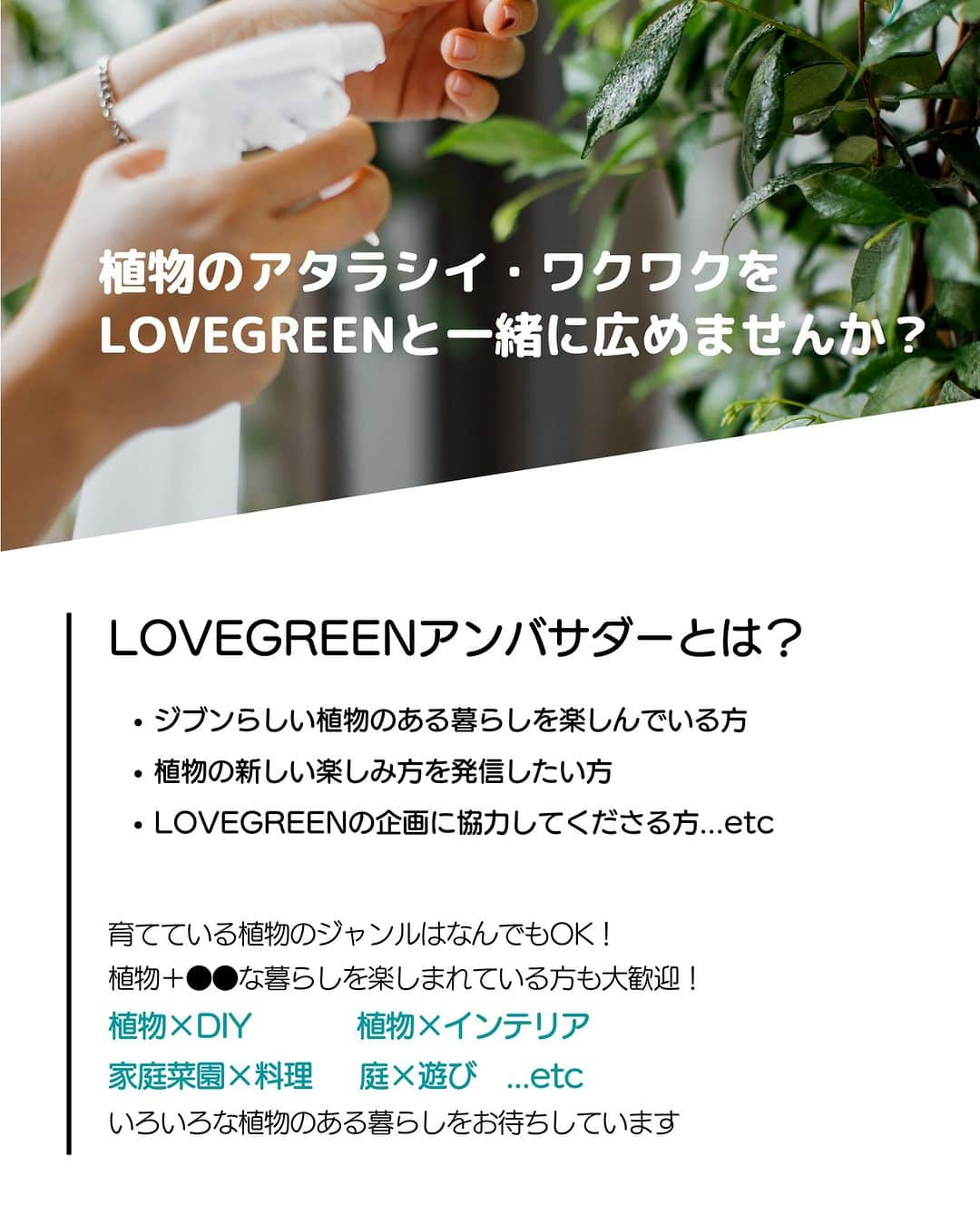 LOVEGREEN -植物と暮らしを豊かに。さんのインスタグラム写真 - (LOVEGREEN -植物と暮らしを豊かに。Instagram)「🌿お知らせ🌿  第3期LOVEGREEN アンバサダーの募集を開始します🙌  去年の夏にスタートしたLOVEGREENアンバサダーも、おかげさまで3回目の募集となります！運営などまだまだ至らない点も多いですが、一緒に楽しく、植物のある暮らしを発信してくださる方を募集します～～☘  育てている植物のジャンルはなんでもOK！　 植物一筋！な人はもちろん、「植物×〇〇」な暮らしを楽しまれている方の応募もお待ちしております^^  これまでご応募いただいた方も、初めましての方も、お気軽にコメントくださいね😊  ーーーーーーーーーーーーーーーーーー 《募集期間》 2023年8月16日（水）～2023年8月22日（火）  《アンバサダー活動期間》 2023年9月1日～2023年12月末まで（任意継続可）  《応募方法》 ①この投稿への「いいね！」 ②コメントをいただけると当選確率UP！  《応募資格》 ①インスタグラムが公開アカウントの方 ②植物のある暮らしを楽しまれている方 ③インスタグラムのDMにてご連絡が可能な方 ④投稿のリポストやLOVEGREEN記事への使用を許可いただける方  《活動内容》 ■Instagramでのハッシュタグ投稿インスタグラムで、自分らしい植物のある暮らしの投稿をお願いします。投稿はご自分のペースでOK！投稿の際には下記ハッシュタグとタグ付けをお願いします。 ↓ #ラブグリーンアンバサダー @lovegreen_official  ■園芸新製品の先行モニター体験園芸新製品のモニター体験を、先行してお知らせして、ご希望商品を提供させていただきます✨  ■その他、取材などを個別でご相談させていただくことがあります。  《当選発表》 ご当選者の方へ8月中にインスタグラムのDMにてご連絡させていただきます。  ※ハッシュタグ投稿いただいた画像やコメントは、本アカウントでのリポストや、LOVEGREEN記事等で使用させていただくことがあります。  ーーーーーーーーーーーーーーーーーー  本募集は締め切りました。当選者の方には後日DMにてご連絡させていただきます。たくさんのご応募ありがとうございました😊  #アンバサダー募集 #アンバサダー募集中 #植物のある暮らし #植物のある生活 #ガーデニング #ガーデニング初心者 #観葉植物 #観葉植物インテリア #インドアグリーン #インテリアグリーン #ハーブ #ハーブのある暮らし #花 #花のある暮らし #花が好き　#インドアグリーンのある暮らし  #ラブグリーンアンバサダー」8月16日 9時00分 - lovegreen_official