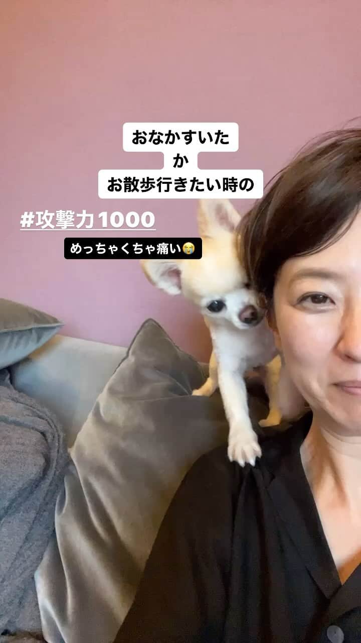 のインスタグラム