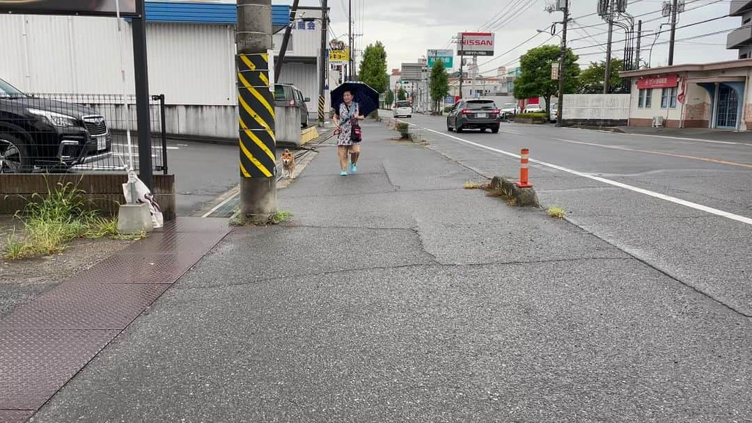 Ryujiのインスタグラム：「Good morning.😄 Typhoon has gone❗️👋 Are you okay❓🥹 おはようございます🍞 台風一過❗️👋 大丈夫でしたかー❓🥹 #焼き上がりました#ぬれせんべい#台風一過#ぬれるのなんか気にしない#軽快な足取り#おぢいの朝#pancakes#macho#nakedgeneral#goodmorning#おはよう」