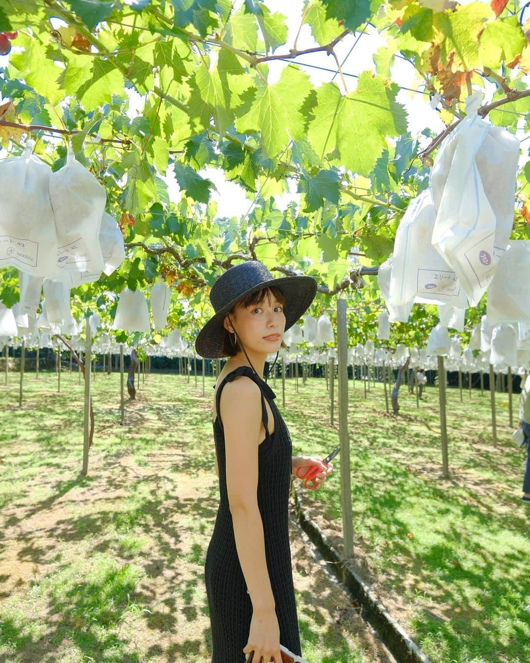 小西翼のインスタグラム：「. 毎年恒例のぶどう狩り🍇✨ ここのぶどうめっちゃ甘くて 美味しくて止まらんくなる🥺  #ぶどう狩り#福岡 #子連れ#男のまま#2人兄弟」