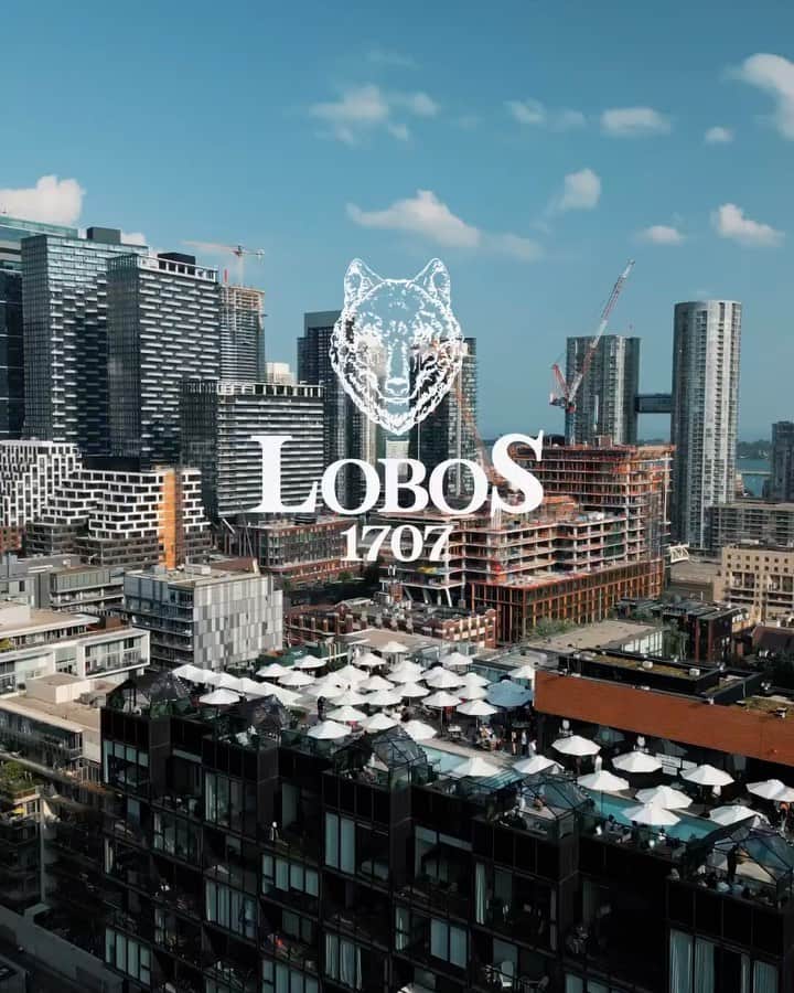のインスタグラム：「We Own The Day & The Night! It’s Simply the Lobos Way! Toronto Thank you and it’s nothing but love from me to you! 👑🐺🖤🥃 #AllForThePack #WhosHavingMoreFunThanUS @lobos1707」