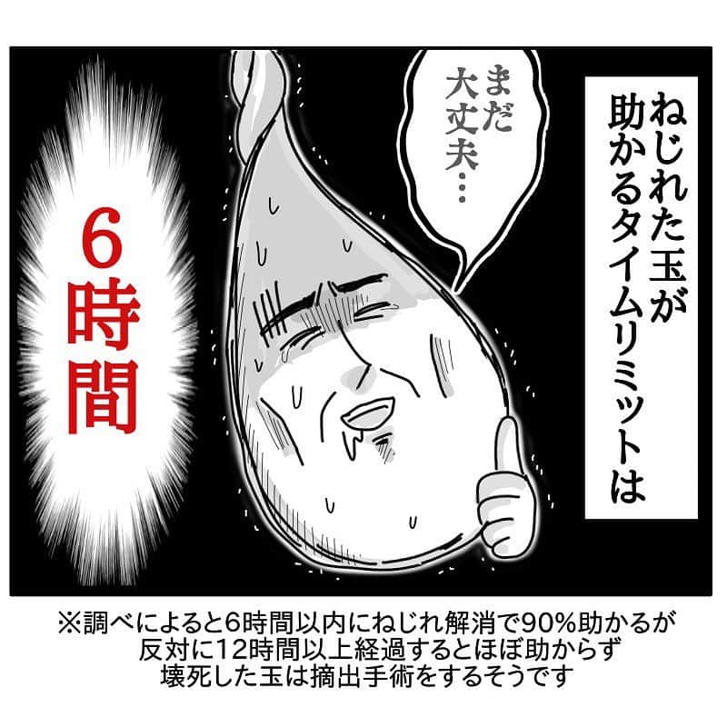 つんさんのインスタグラム写真 - (つんInstagram)「これから左玉が助かるかどうか それは時間との戦いなのである…  精巣捻転の症状を知っていれば 左玉を助けてあげられるかもしれない 詳しくは精巣捻転を調べてみてください ねじれの治療法や今後ねじれないようにする処置なども書かれています  これから男の子が 下痢、嘔吐、下腹部痛があったら 一見玉に関係なさそうな症状でも とりあえず一旦玉を疑いましょう  精巣捻転を本人も知っていれば 本人も一旦玉を疑えます  明け方、就寝中は発症率が高いらしいので さらに玉を疑いましょう  疑って玉に何もなければ可能性がなくなるのでそれで良いのです  あとは確実に急に玉が痛いと言われたら ただ玉が痛いだけかもしれないけど 念のため泌尿器科に相談、 時間外でも救急に相談した方がいいと私は思います なにせ時間との戦いですからね 急に玉痛いは救急です  覚えやすいように略すと 「急玉救急」です  つづく ストーリーから続き読めます  ⚠️ 私が聞いたり調べた知識で書いている内容なので もし違っていたら教えていただけると嬉しいです🫡   #精巣捻転  #睾丸捻転  #6時間  #急玉救急」8月16日 10時28分 - yan_mugi