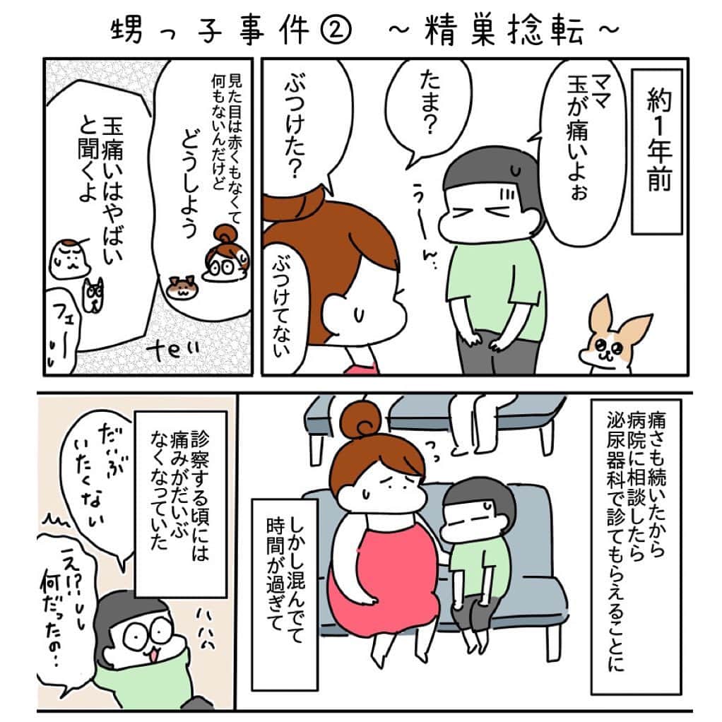 つんのインスタグラム：「これから左玉が助かるかどうか それは時間との戦いなのである…  精巣捻転の症状を知っていれば 左玉を助けてあげられるかもしれない 詳しくは精巣捻転を調べてみてください ねじれの治療法や今後ねじれないようにする処置なども書かれています  これから男の子が 下痢、嘔吐、下腹部痛があったら 一見玉に関係なさそうな症状でも とりあえず一旦玉を疑いましょう  精巣捻転を本人も知っていれば 本人も一旦玉を疑えます  明け方、就寝中は発症率が高いらしいので さらに玉を疑いましょう  疑って玉に何もなければ可能性がなくなるのでそれで良いのです  あとは確実に急に玉が痛いと言われたら ただ玉が痛いだけかもしれないけど 念のため泌尿器科に相談、 時間外でも救急に相談した方がいいと私は思います なにせ時間との戦いですからね 急に玉痛いは救急です  覚えやすいように略すと 「急玉救急」です  つづく ストーリーから続き読めます  ⚠️ 私が聞いたり調べた知識で書いている内容なので もし違っていたら教えていただけると嬉しいです🫡   #精巣捻転  #睾丸捻転  #6時間  #急玉救急」