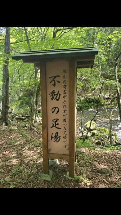 のインスタグラム：「野湯巡り旅 続き♨️ ここは野湯というより地元の有志の方が作ってくれた立派な足湯。ここから少し上にいくと不動の湯がありそちらは500円で入浴できます😊 緑の中でぼーっと足をつけてるだけでめちゃめちゃリフレッシュ！しかも無料！地元の有志の方に感謝です💛  福渡不動吊り橋を渡って遊歩道を少し歩くとすぐ見つかるよ😀  #栃木県 #塩原 #不動の足湯 #温泉  #ちょっぴりマニアックワイルド旅」