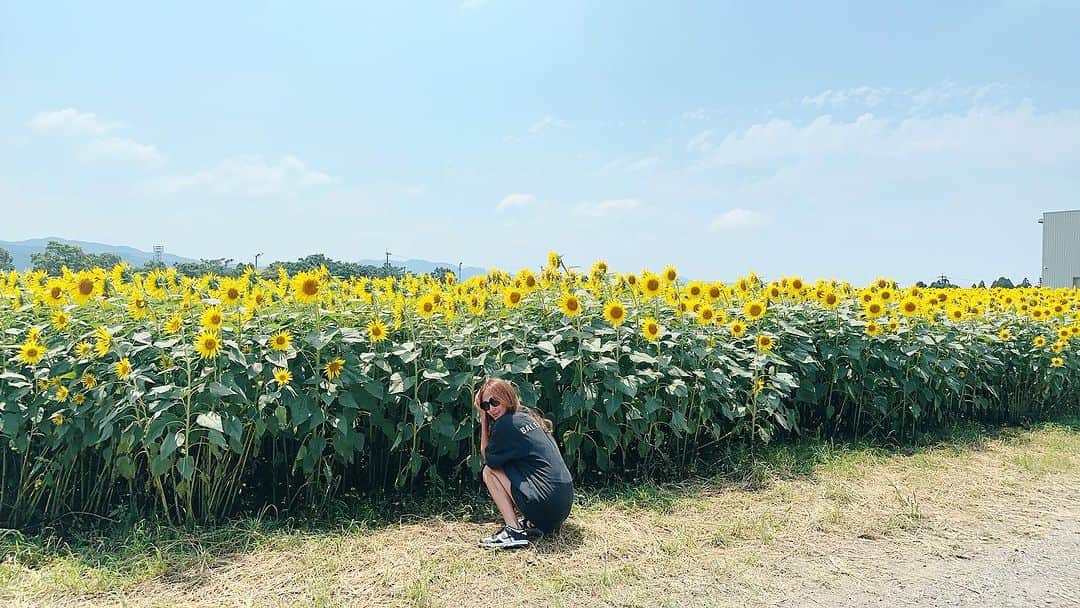 小林明実のインスタグラム：「熊本の最後は かわいいひまわり畑🌻 北海道のイメージだったから ここで出会えて嬉しい☺️ 家族の中で誰よりも気分が 上がっていた🤍✨  熊本に2週間いて 本当に楽しかった🤍✨ 自然と水そして食べ物 全部が好き❤️❤️  ありがとう熊本😊  時間を作ってくれた 麗奈もありがとう😊✨  @straycat_ren     #熊本 #自然 #水 #ひまわり畑」