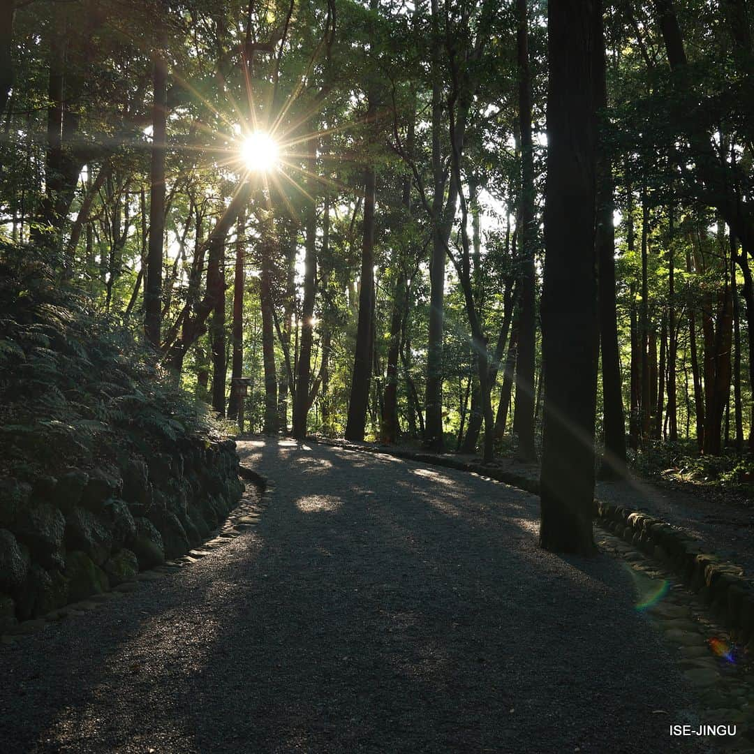 伊勢神宮さんのインスタグラム写真 - (伊勢神宮Instagram)「#伊勢神宮 #神宮 #神社 #心のふるさと #月読宮 #月読荒御魂宮 #伊佐奈岐宮 #伊佐奈弥宮 #別宮 #内宮 #伊勢市中村町 #参道 #参拝 #夕日 #夕暮れ #風景 #景色 #isejingu #jingu #soul_of_japan #japan #jinja #shinto #tsukiyominomiya #naiku #sunset #worship #scenery #view」8月16日 11時00分 - isejingu.official