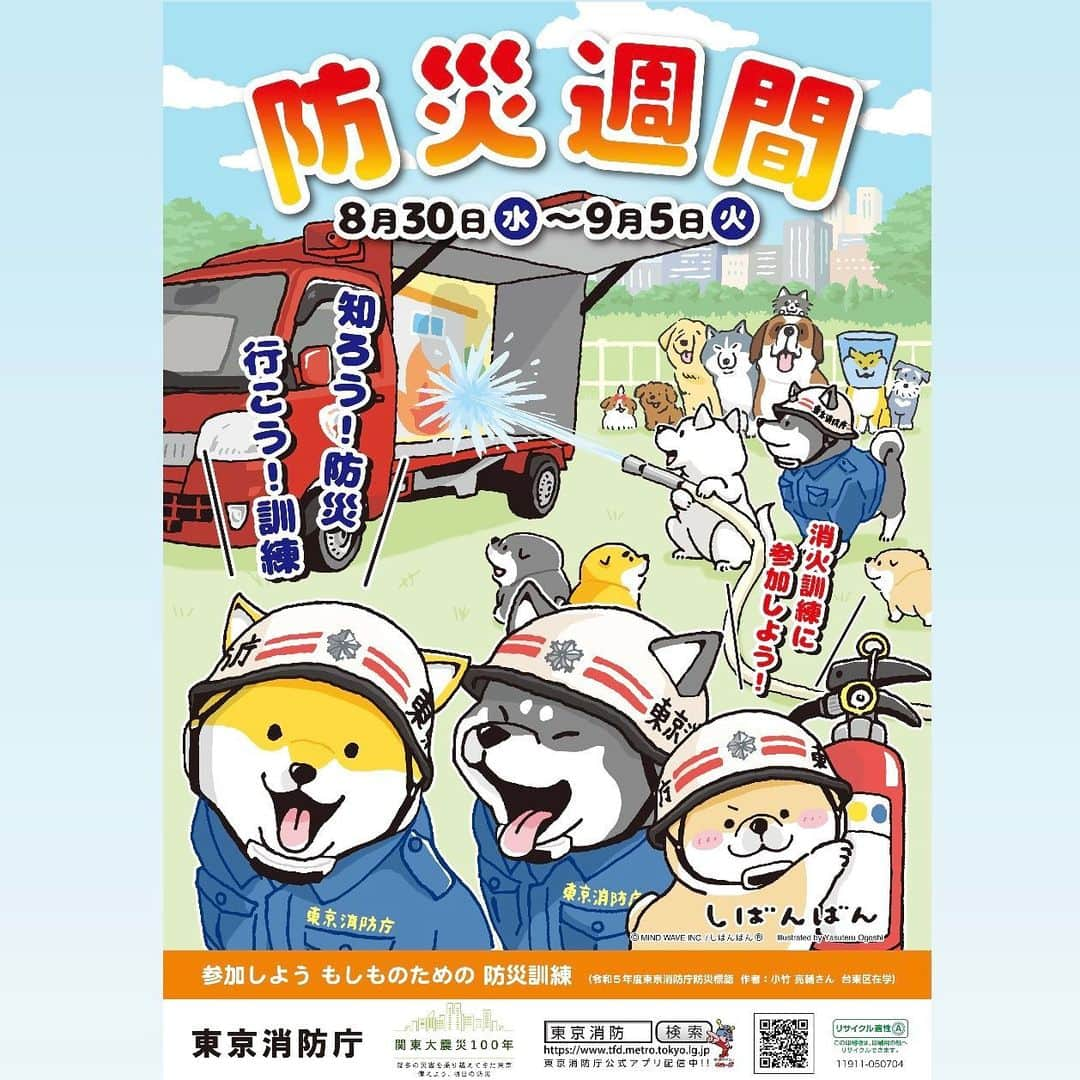 オオゴシヤステルのインスタグラム：「🚒INFO🚒  8月30日から9月5日の防災週間 ポスターに #しばんばん が登場‼️ 〈ฅ `ᴥ´ ฅ〉（ฅ・ᴥ・ฅ）  本日より東京消防庁館内の駅、官公庁、事業所、学校、町会及び自治会の掲示板などに順次掲示されます🐾  #防災週間 #東京消防庁  #しばんばん #shibanban #むちころばんばん #muchicorobanban #微笑柴犬 #マインドウェイブ #mindwave #オオゴシヤステル #柴犬 #しばいぬ #shibainu」