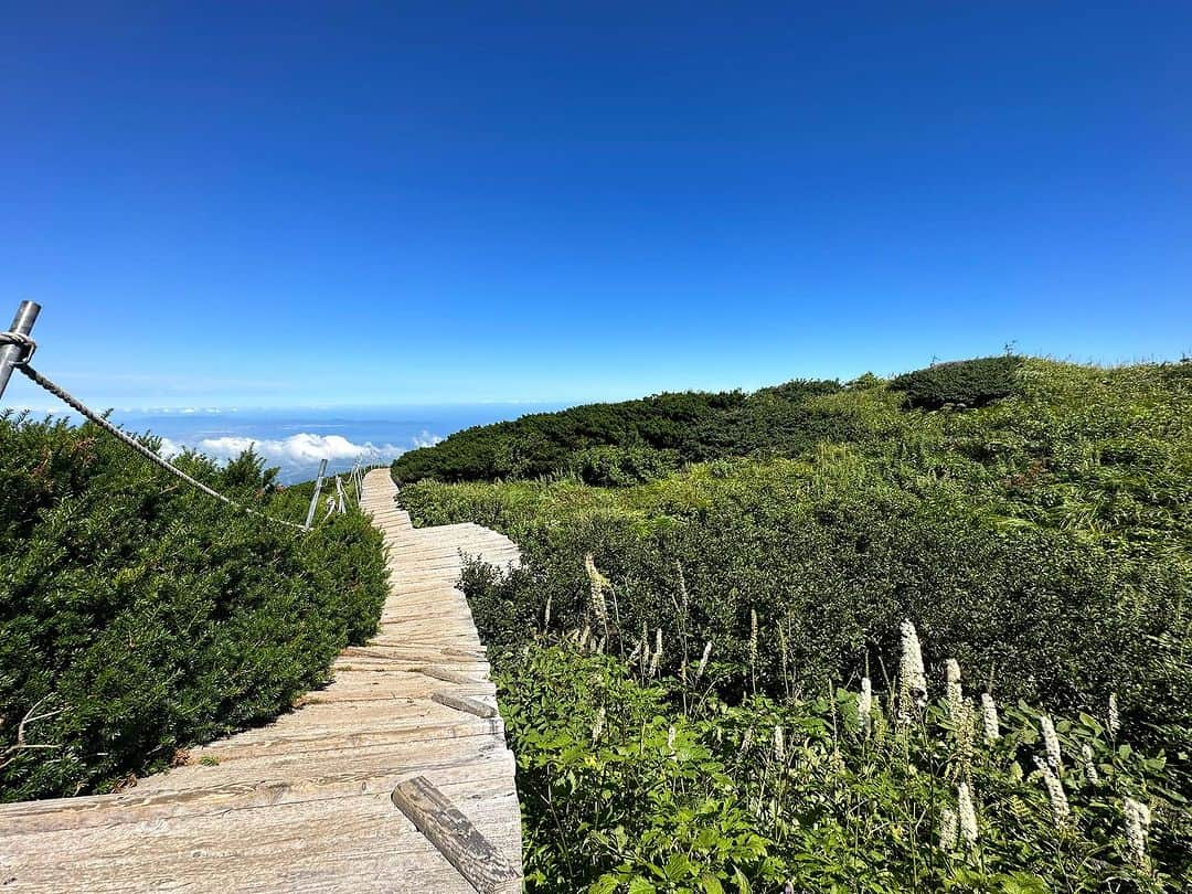 中村葵さんのインスタグラム写真 - (中村葵Instagram)「お盆は父と鳥取の大山へ⛰️  すごく気持ちのいいお天気で木道歩くの楽しかった☀️✨🌱  山のぼり大好き！のロケで一度登ったのですが、その時は悪天候で9号目手前で引き返しました🥲  9号目手前くらいから大山は素敵！！ それまではひたすら筋トレの様な階段。。笑  本当は南アルプス予定でしたが、台風の影響を考えて関西から日帰り🥺  皆さんはどこか登りましたか？？  #登山#登山女子 #登山好きな人と繋がりたい #山登り#山登り好きな人と繋がりたい #山#トレッキング#大山登山#大山#鳥取大山 #鳥取#木道#山ガール#山歩き#山歩ガール#thenorthface #japanesemountain #japantravel #japan#trekking#japantrekking #viwes #niceview  #中村葵」8月16日 11時54分 - aoinakamura123