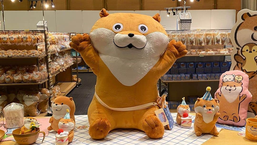長谷川ヨシテルのインスタグラム：「この後12:30から、 J:COM『LIVEニュース』で「可愛い嘘のカワウソ」と「たべっ子どうぶつ」のポップアップショップをリポートしてきまーす！ どちらもカワイイね〜🦁」