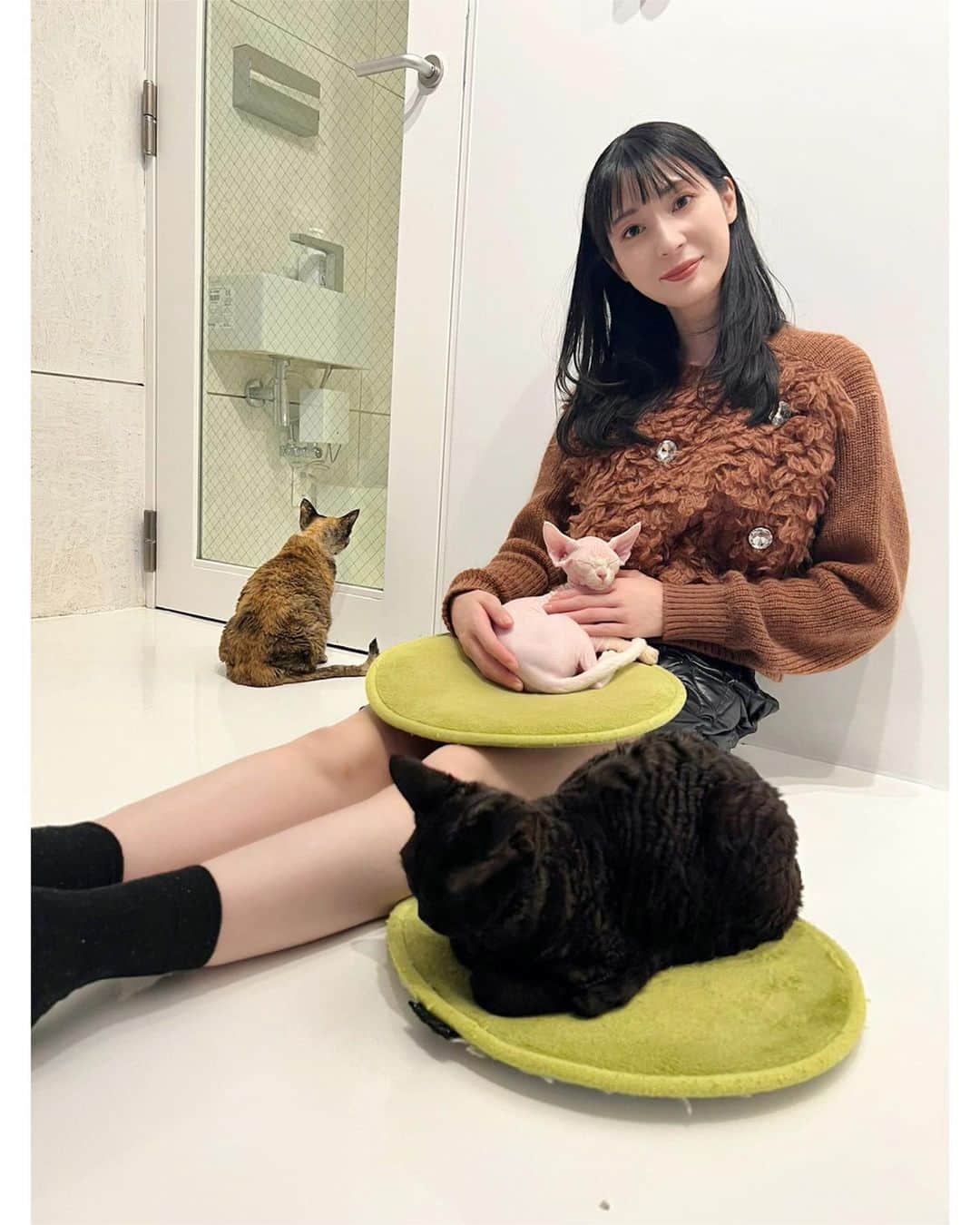 のインスタグラム：「これはもういつのことでしょうか… 今年のはじめだった気がする🐱  ゆっきーさんとずっと行ってみたかった @100_neko へ🤍 昔から猫ちゃん飼うなら絶対デボンレックスって思っていたので笑 たっくさん触れ合えて、ねこちゃん欲が増した1日でした🥰  みんな人懐っこくて膝に乗ってきてくれてかわいすぎた🫶」