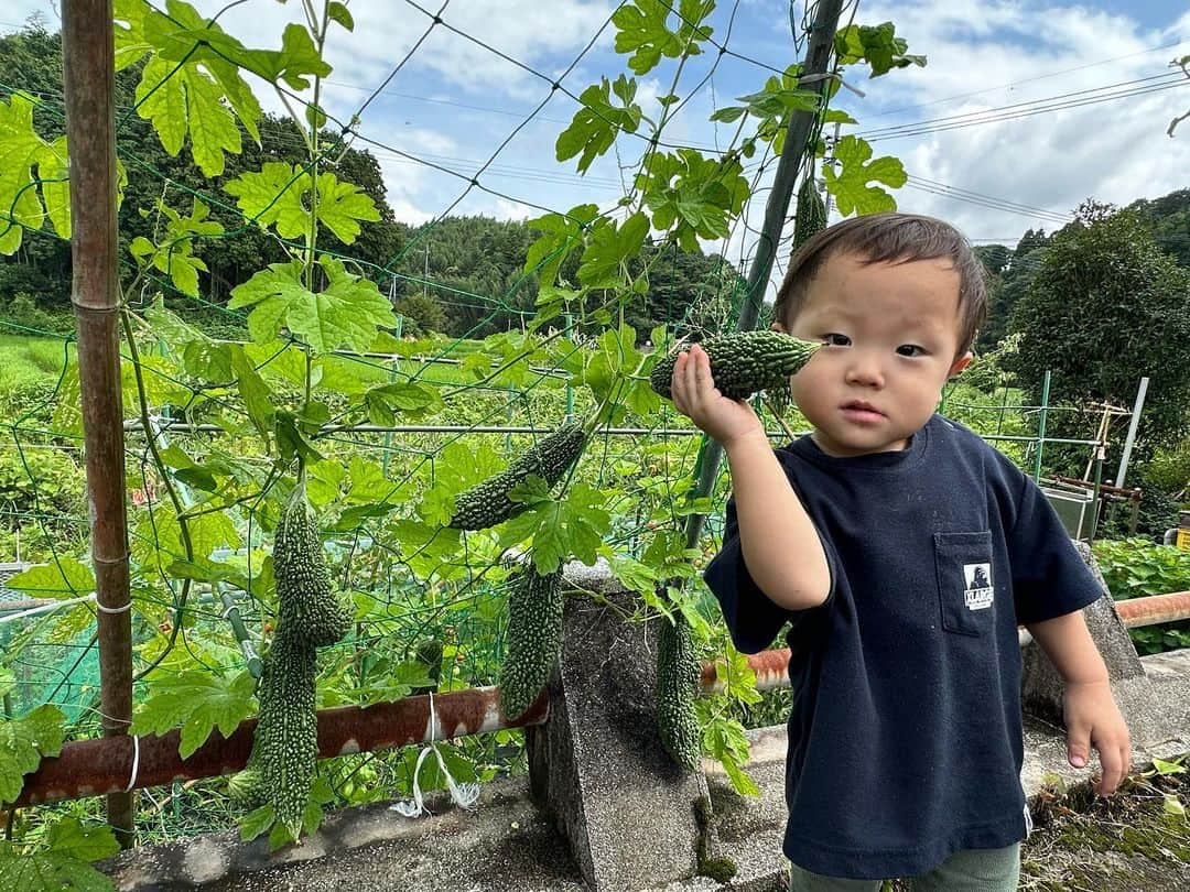 江原千鶴（エハラチヅル）のインスタグラム：「今年の夏休みは大分の実家を満喫‼️ 自然がいっぱいでいいねー✨  とわくんの愛読書はエハラ家チャンネル本🤣  #実家#大分市#夏休み#エハラ家チャンネル」