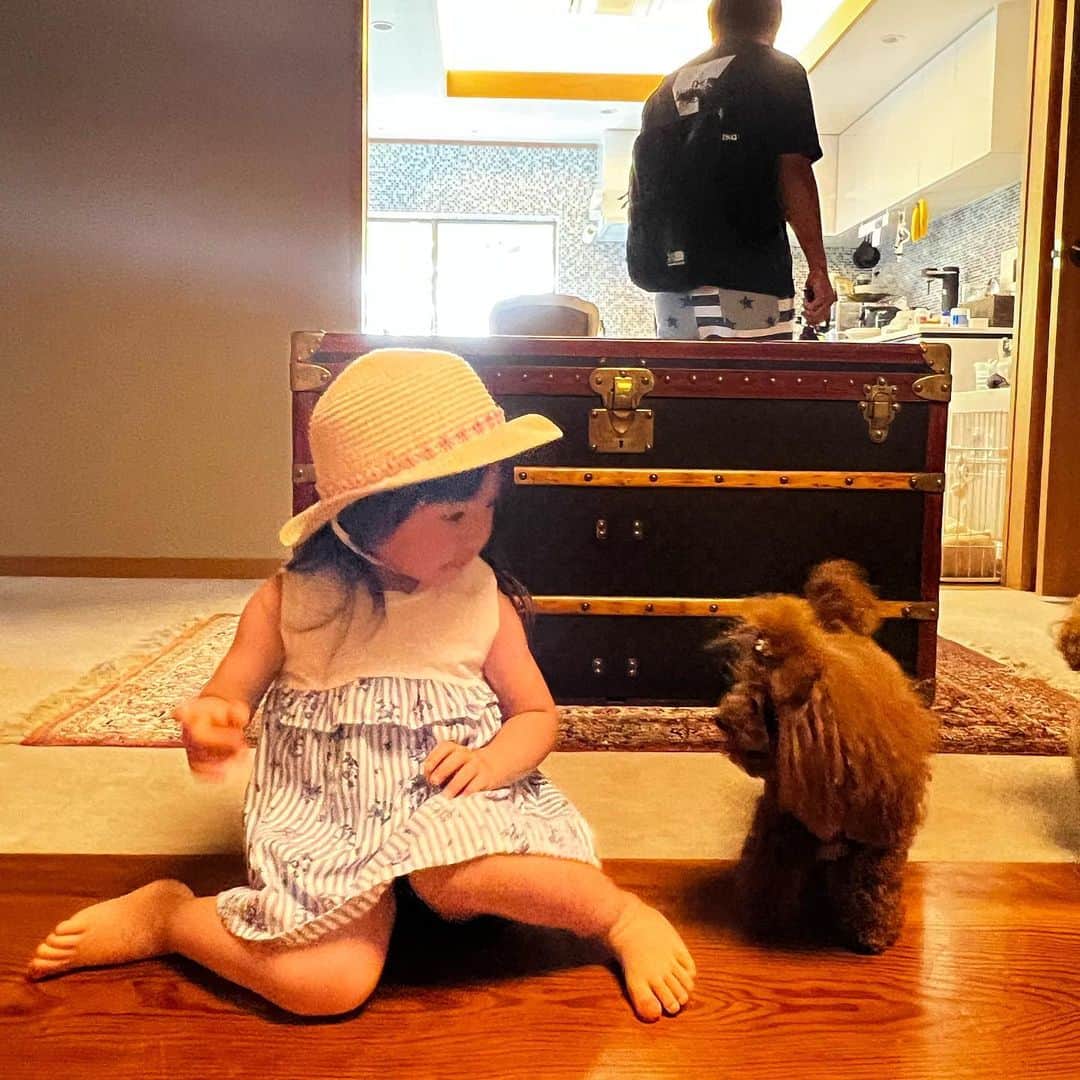 藤島妃呂子のインスタグラム：「お出かけするSakiちゃん、 見守るGigi ちゃん🌻  #姪っ子 #rorogigi」