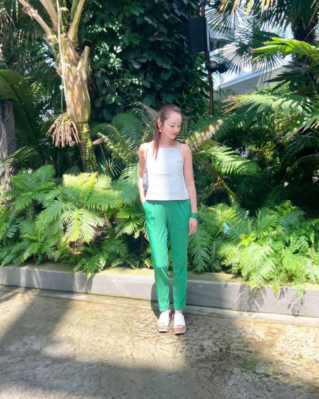 井上晃子のインスタグラム：「green mood.🦚🌵🌴🌿🪷  "scallop scallop pants/new green"  今秋よりサイズは34/36/38 カラー展開はgreen&black&navyとなります  スカラップシリーズはジャケットとパンツでセットアップが叶うので日常からオケージョンまで様々なシーンに重宝します。ビジネスシーンや学校行事、旅にも◎  scallop scallop jacket&pants...8/18(fri)21:00- オンラインにて先行予約を承ります  #akiki」