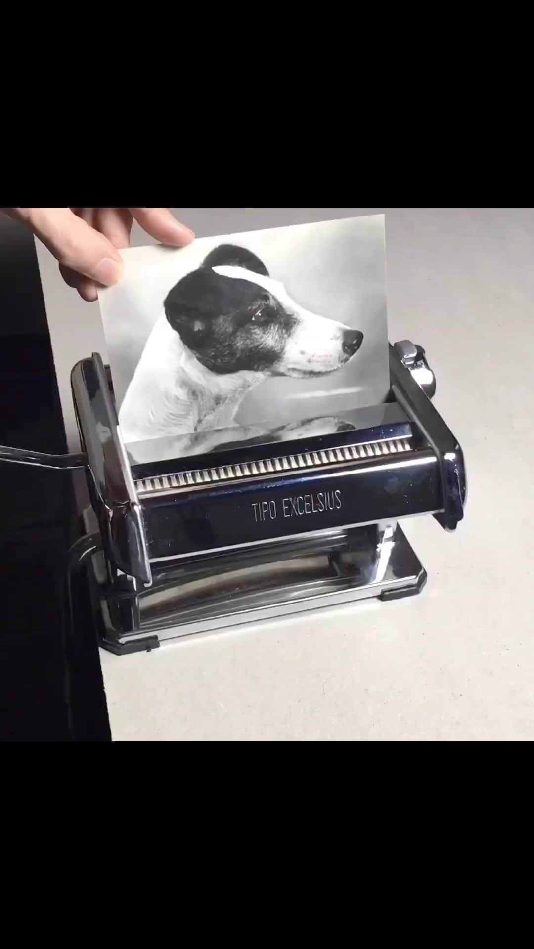 StreetArtGlobeのインスタグラム：「He’s a really guuud boyyyy 🐶❤️  @kensukekoike explores the possibilities of creating not one, but four new images from a single photograph.   Following the philosophy of ‘no more, no less,’ artist kensuke koike uses found objects, and gives himself only one chance to work with the original material.  ‘I began to use archival images because I wanted to try something more challenging and to delve deeper into the meaning of an image. More risk means that I have to think twice before cutting the originals, and that is important,’ Koike shares.」