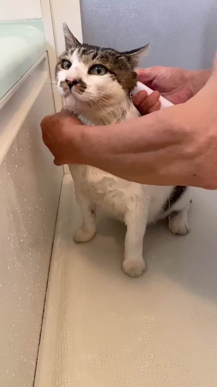 土肥美帆のインスタグラム