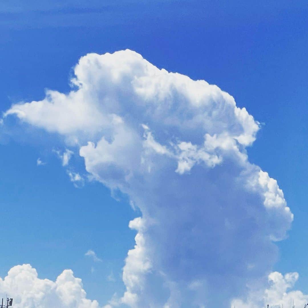 山中拓也のインスタグラム：「みそみたいな雲。 #やっべー #雲とかインスタにあげちまった。」