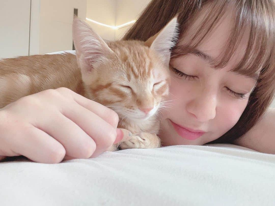 布施柚乃のインスタグラム：「🐈」