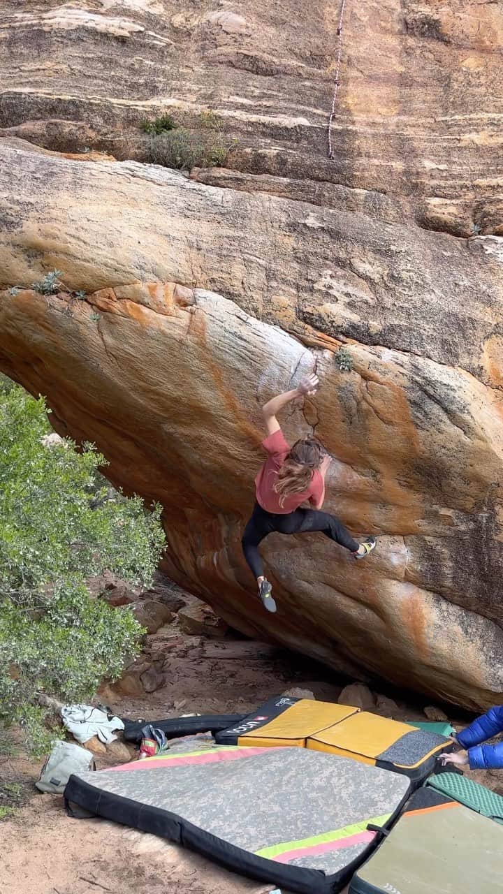 ペイジー・クラッセンのインスタグラム：「The Quintessential in a day, @paigeclaassen’s first V13.  A little splash of inspiration to start your week, thanks to a legendary moment from @paigeclaassen, proving once again that she can simultaneously be an extraordinary mother and an extraordinary athlete. After her one year old daughter, Larkin, had a rough couple days riddled with a double ear infection, in addition to a few restless sleep regression nights, she needed some climb time. Leaving Larkin with Dad for just a few hours was all she needed to seize the moment and find herself on top of The Quintessential (V13), her first V13. One things for sure, that Larkin girl has got one of the world’s most badass moms, and Paige puts her hat in the ring for one of the hardest sends while wearing a nursing bra.」