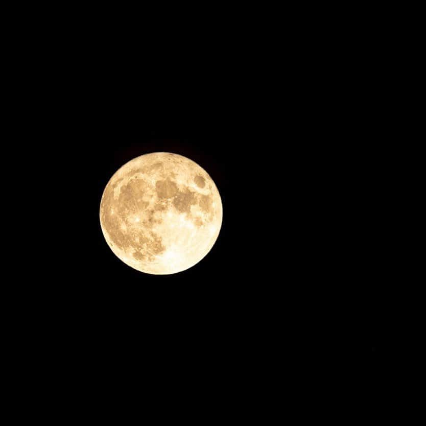 NikonUSAさんのインスタグラム写真 - (NikonUSAInstagram)「Set your alarms for tonight's Super Moon 🌝  What Nikon gear are you going to be using? Nikon creator Don Birdsong used the Nikon Z 6II + NIKKOR Z 100-400mm f/4.5-5.6 VR S to capture this shot.  #NikonCreators #Supermoon」8月2日 1時02分 - nikonusa