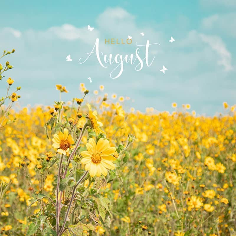 キャリーンコルデロのインスタグラム：「Hello August 💛  #august #sunflower #flowers #flowerinspo #losangeles #calleencordero」