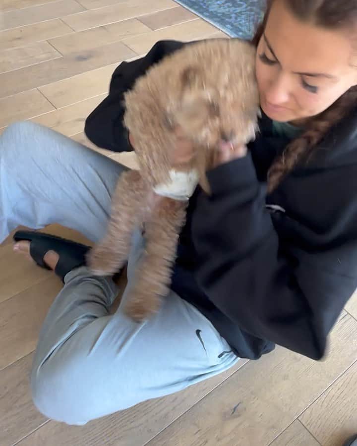 トーライ・ケリーのインスタグラム：「home sweet homeヾ(＠⌒ー⌒＠)ノ」