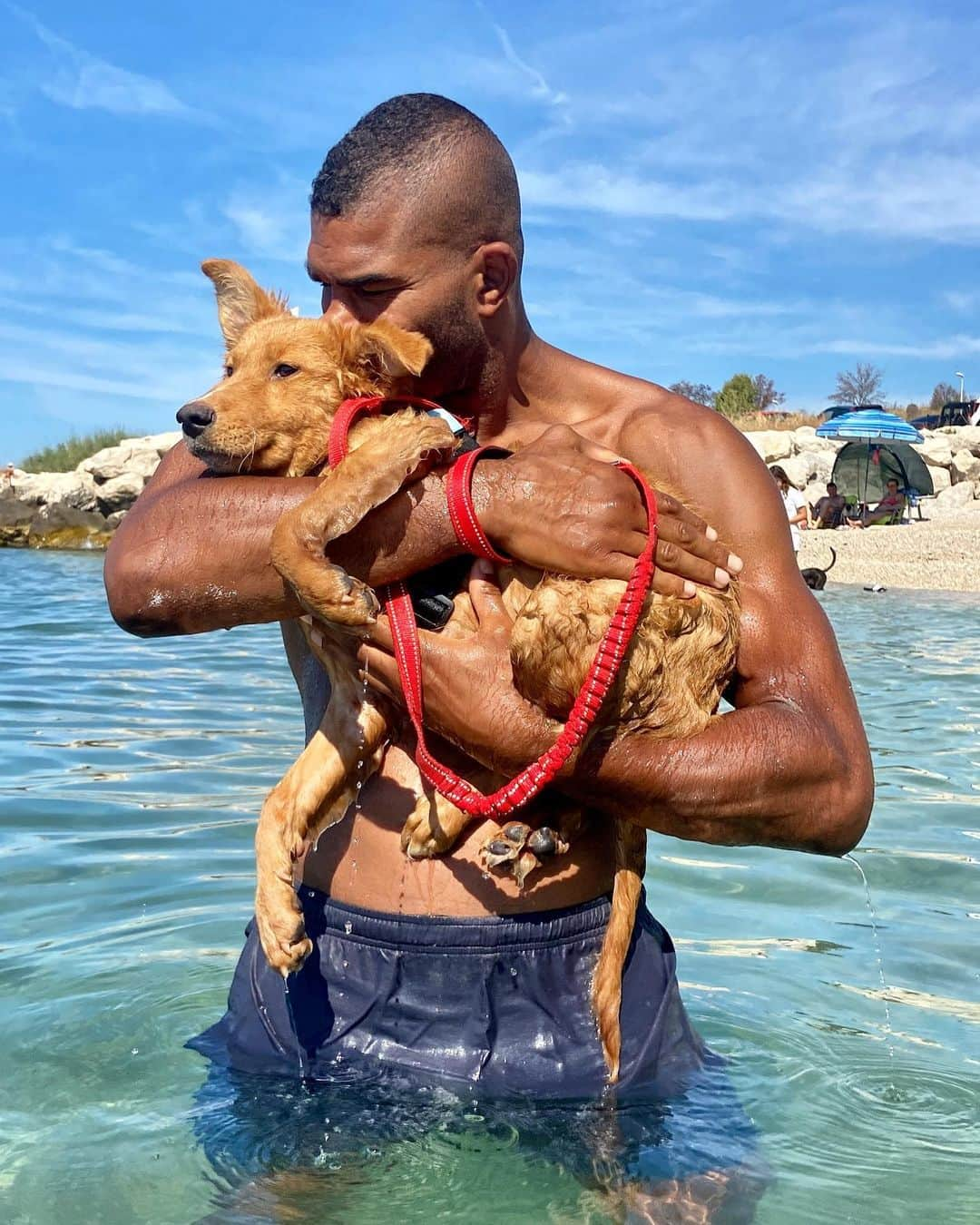 アリスター・オーフレイムのインスタグラム：「Surfing through life with my furry beach buddy 🌊🐶🐾 @bestie_split」