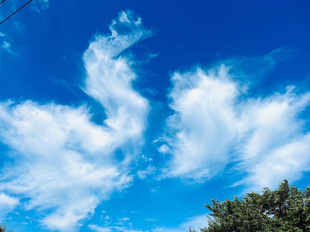 のインスタグラム：「✨晴天☀️✨  昨日の東京は雷を伴う豪雨が凄かったですね⚡️☔️ 皆さん大丈夫でしたか❓  今日の天気は快晴☀️.° 今日も暑さに気をつけながら 笑顔溢れる素敵な一日にしましょうね(* ॑꒳ ॑* )⋆*💕  みんなFIGHT🔥  ✨✨✨✨✨✨✨✨✨✨✨✨✨✨✨  ✨Sunny weather☀️✨  The heavy rain accompanied by thunder was amazing in Tokyo yesterday⚡️☔️ Are you all okay ❓  Today's weather is fine ☀️.° Let's have a wonderful day full of smiles while being careful of the heat (* ॑꒳ ॑* )⋆*💕  Everybody FIGHT🔥  ✨✨✨✨✨✨✨✨✨✨✨✨✨✨✨   #青空  #快晴  #素敵な1日  #love #美  #生きる意味 #sexy #セクシー系 #ジム女子 #美肌ケア #写真好きな人と繋がりたい #女優好きな人と繋がりたい #美意識人と繋がりたい #幸福 #happy #東京 #tokyo #日本 #japan  #美魔女モデル #actress  #資格マニア  #スマイル #笑顔 #followforfollowback #ポートレート女子 #loveyou #仲間募集  #空が好きな人と繋がりたい」