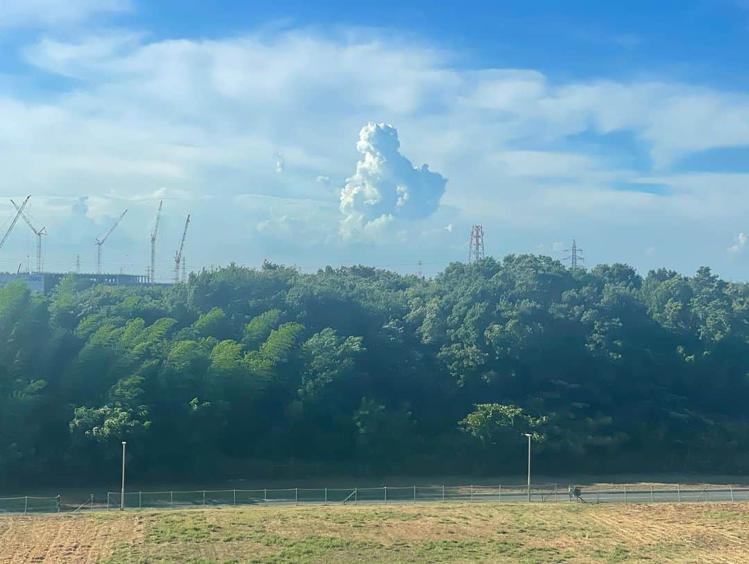 根本美緒さんのインスタグラム写真 - (根本美緒Instagram)「@柏の葉キャンパス みどりがいっぱい🌲🌲  やっぱり木の下はMRT(放射を重視した暑さ指数)が30近く低く過ごしやすい✨って論文を今日発表してくれてる学生がいました😊  2枚目はそんな研究室から見た夏空  #大学院 #大学院生 #ゼミ #久々対面 で行って来たw #東京大学」8月2日 18時27分 - nemotomio.official