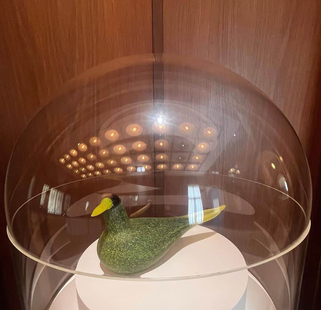 クリス智子さんのインスタグラム写真 - (クリス智子Instagram)「東京都庭園美術館で見られてよかった 「フィンランド・グラスアート〜輝きと彩りのモダンデザイン」 @teienartmuseum   アールデコの建築美の中で見る、フィンランドのガラスは、これまで見た北欧のガラス展と違う味わいでした。  今日、番組でも担当学芸員の方のお話を交えてご紹介しました。@good_813jwave  （radikoで1週間お聞きいただけます）  アアルト、オイヴァ・トイッカ、カイ・フランク...  作品を見ていると、デザイン、造形の魅力はさることながら、（自然現象の）タイミングを掴む才能、時を捉える力、みたいなものを感じる。ガラスって、やっぱりいいなぁ。  最後の写真、オイヴァ・トイッカの鳥、上の照明で、孔雀🦚化していた😁  9/3(日)まで。  #東京都庭園美術館  #フィンランドグラスアート展」8月2日 16時55分 - chris_tomoko