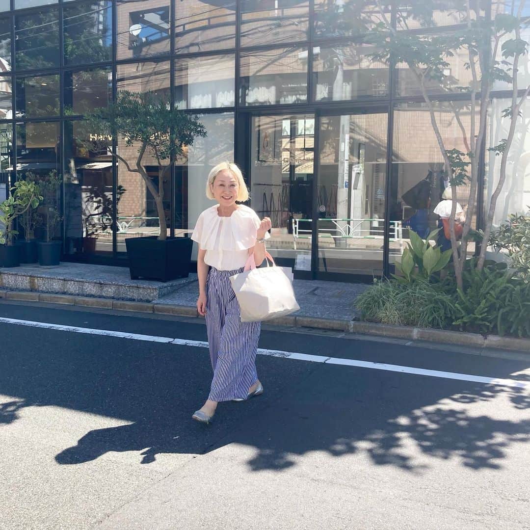 エルベシャプリエ 店舗限定 725FD パンサーブラン グリ ドラジェ 見やす