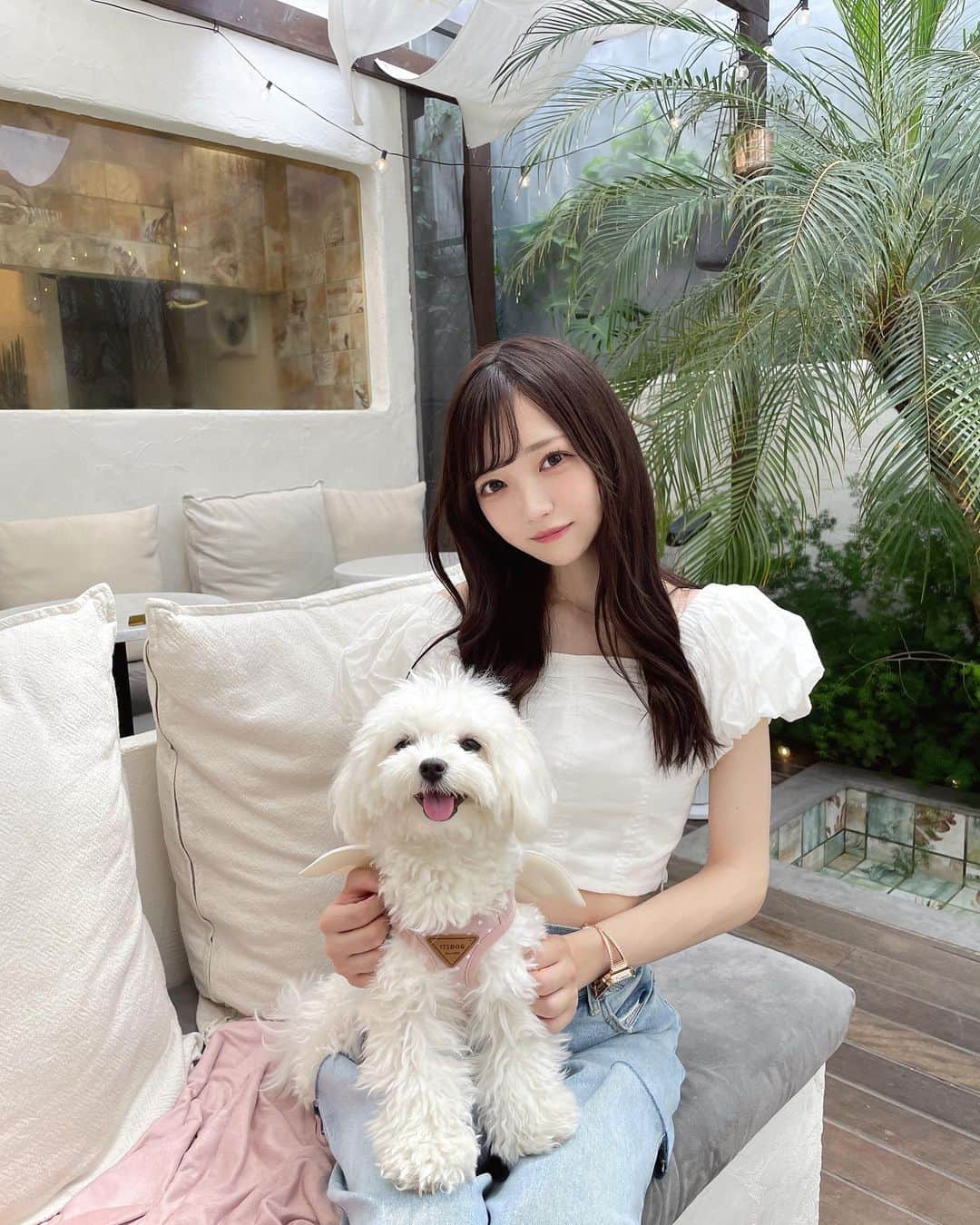 小林莉奈のインスタグラム：「おこめとカフェ🤍  久しぶりに一緒にお出かけできた🌷 普段寂しい思いさせちゃってるから もっと色んなところ連れてってあげたい(  ᴗ ̫ ᴗ )  #カフェ #東京カフェ #表参道カフェ #犬カフェ #犬のいる暮らし」