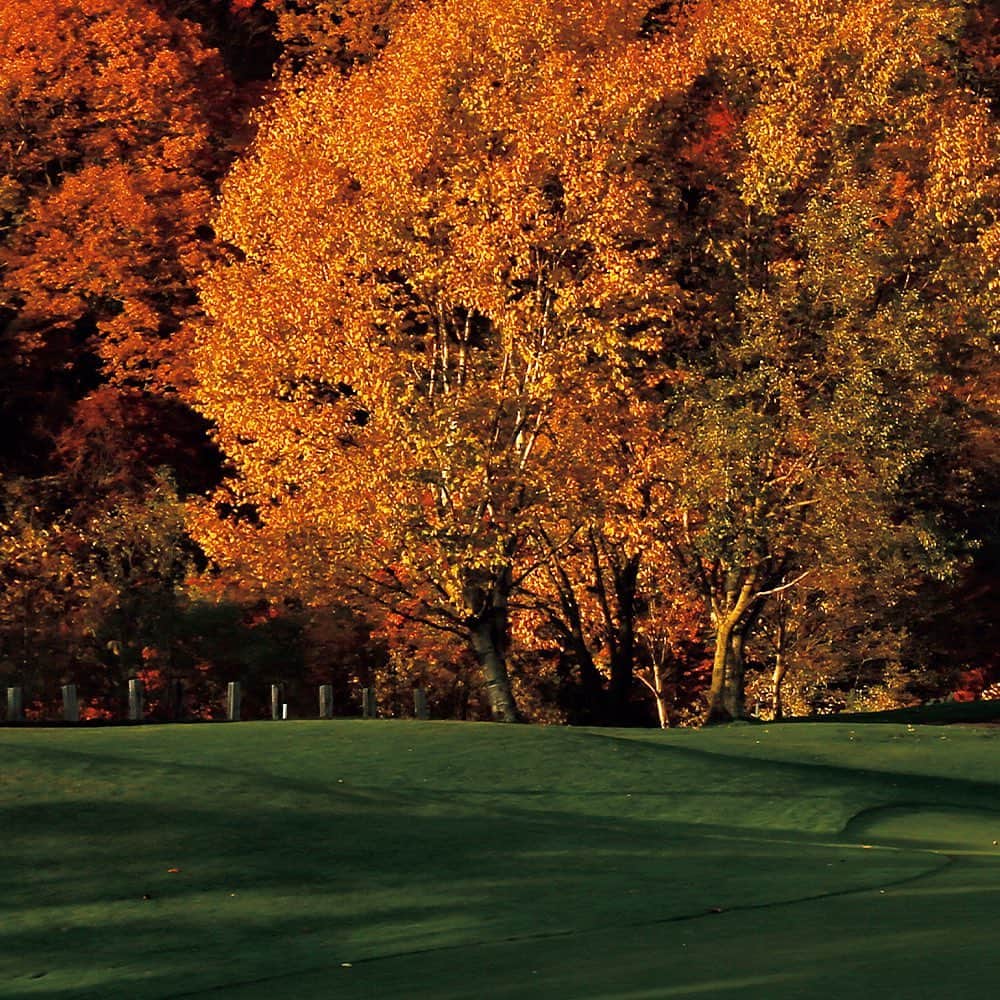 ブルータスさんのインスタグラム写真 - (ブルータスInstagram)「自然に囲まれたゴルフ場は、プレーするゴルファーしか拝めないフォトジェニックな風景の宝庫。季節や時間帯によって、その表情は異なってくる。  発売中のBRUTUS「だからゴルフが好きなんだ。」では、国内外のゴルフ場で一時の絶景を切り取ってきたゴルフフォトグラファーの宮本卓さんに、とっておきの瞬間的な絶景を見ることのできるコースを教えてもらった。  ⛳️日本海、白山連峰を大パノラマで。 あわら／福井・芦原ゴルフクラブ 海コース  ⛳️標高850ｍで生まれる紅葉のグラデーション。 猪苗代／福島・ボナリ高原ゴルフクラブ  ⛳️さながらカナディアン・ロッキーの世界観！ 丹波／兵庫・ザ・サイプレスゴルフクラブ  photo: Taku Miyamoto  #BRUTUS #ブルータス #雑誌 #ゴルフ #ゴルフコース #golf #golflife #golfcourse #magazine」8月2日 18時00分 - brutusmag