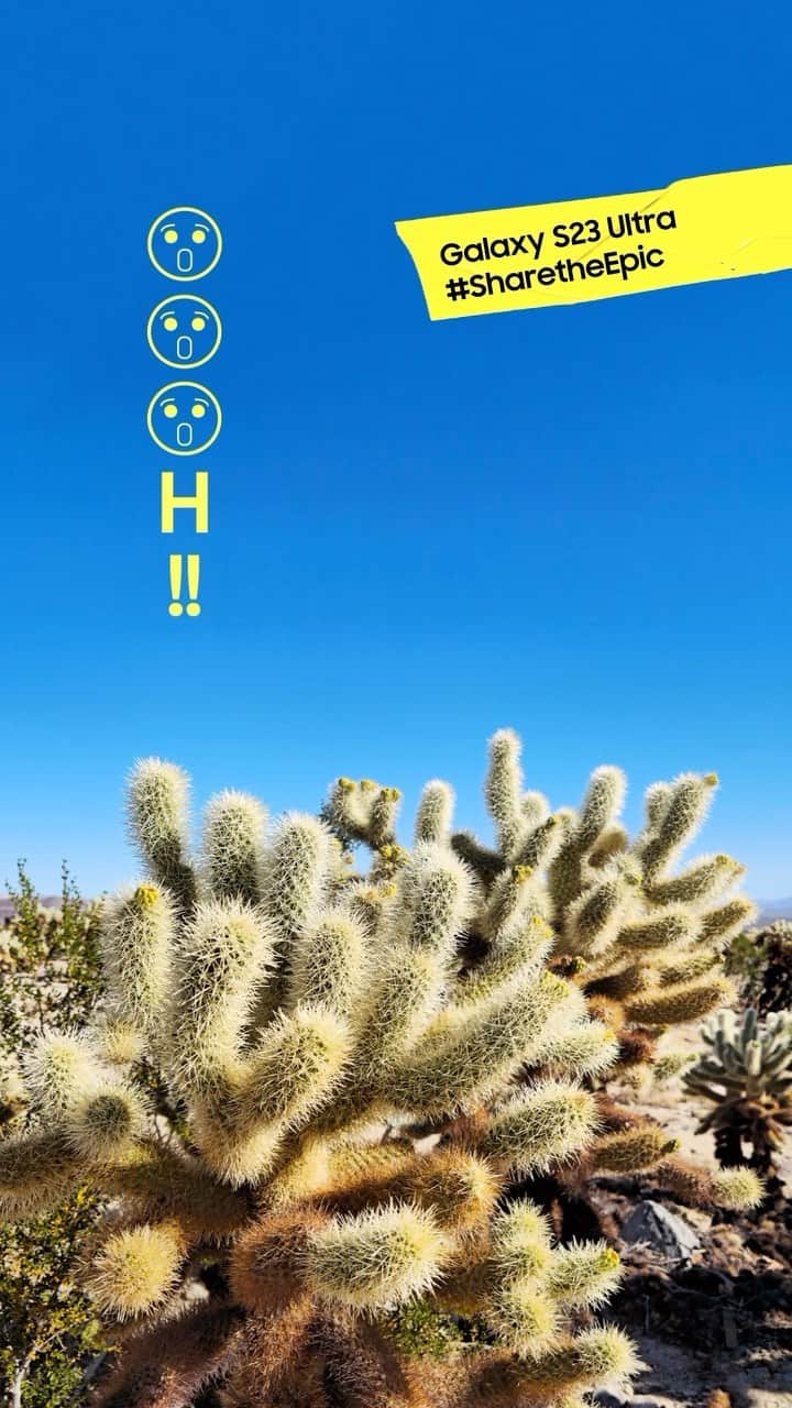 Galaxy Mobile Japanのインスタグラム
