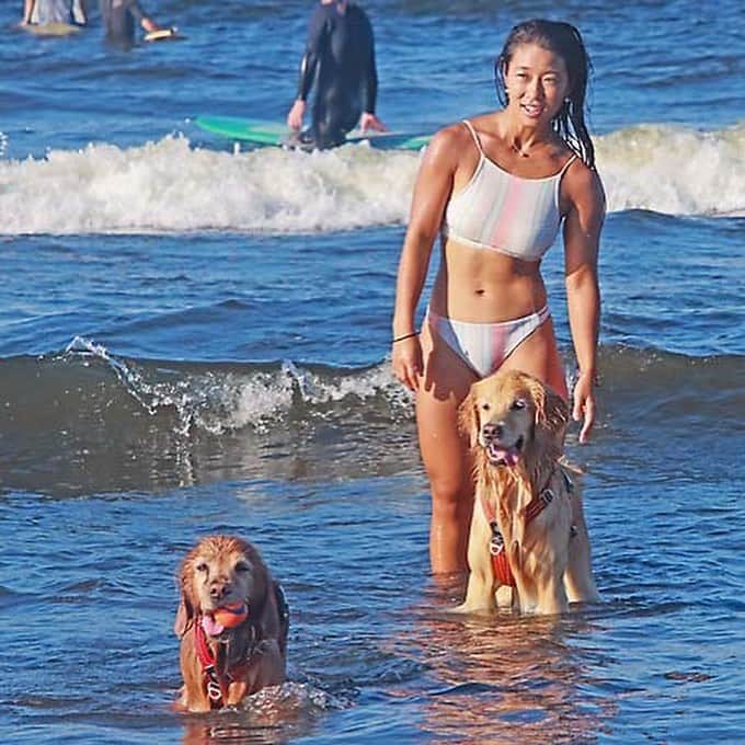 大村 奈央さんのインスタグラム写真 - (大村 奈央Instagram)「わたしたちの 夏 ☀️ #海水浴 #ベルサニ pc ©︎ichirohsakai  #goldenretriever #dogs #ゴールデンレトリバー #犬」8月2日 17時44分 - naoomura