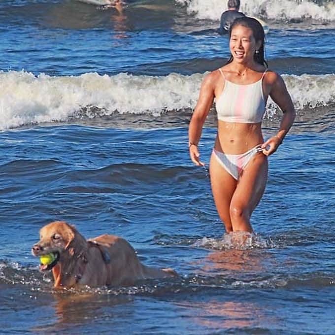 大村 奈央のインスタグラム：「わたしたちの 夏 ☀️ #海水浴 #ベルサニ pc ©︎ichirohsakai  #goldenretriever #dogs #ゴールデンレトリバー #犬」