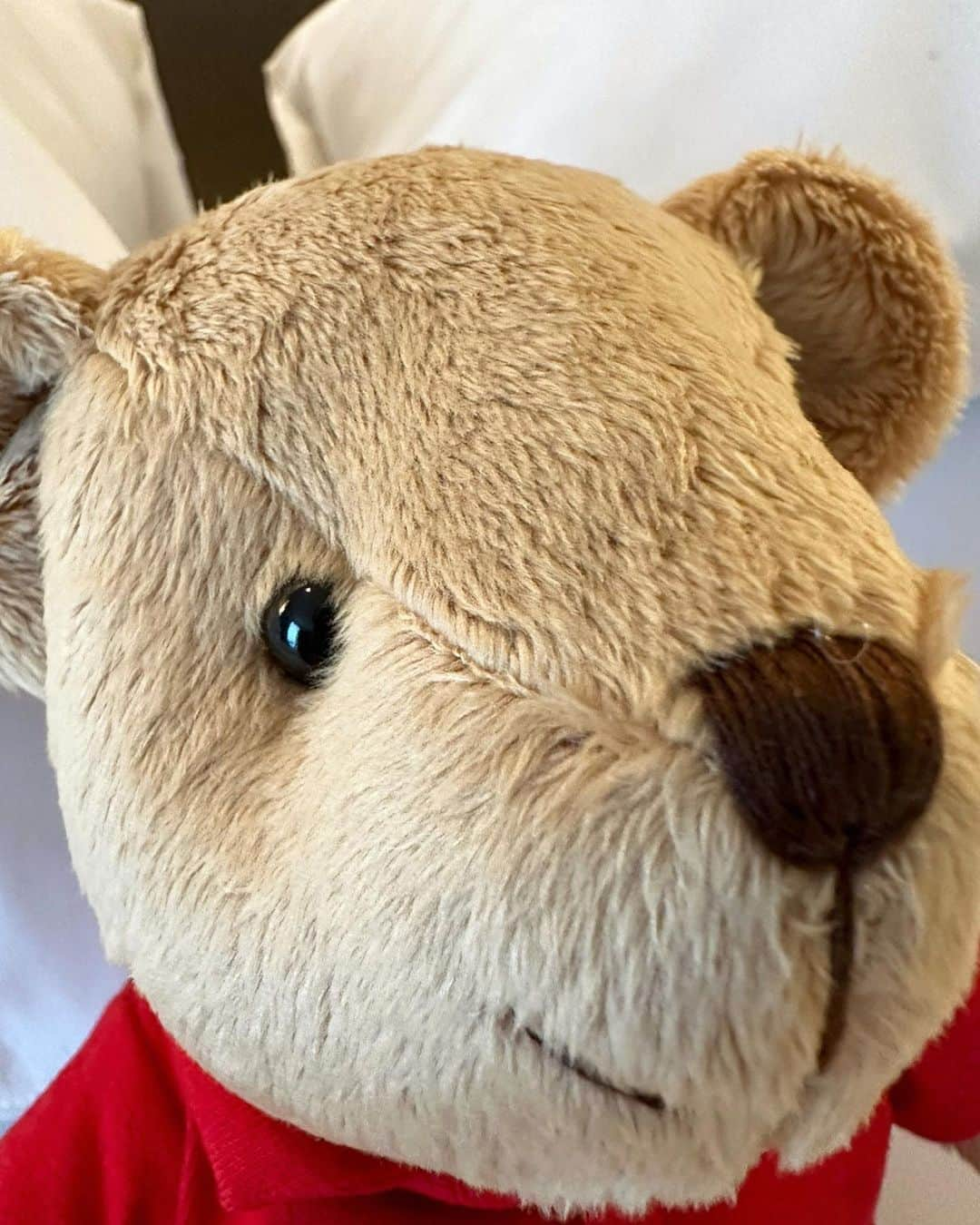 ATEEZさんのインスタグラム写真 - (ATEEZInstagram)「[#인星화그램] Thailand🩶🐻  #ATEEZ #에이티즈 #SEONGHWA #성화」8月2日 18時11分 - ateez_official_