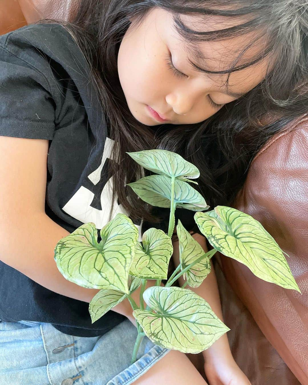 いなざうるす屋さんのインスタグラム写真 - (いなざうるす屋Instagram)「学童に行くの渋りめいと、お気に入り(私が)のカラジュームちゃん😎  #カラジューム #カラジュームフェイク #フェイクグリーン #フェイクグリーンのある暮らし」8月2日 9時44分 - inazaurusu_ya