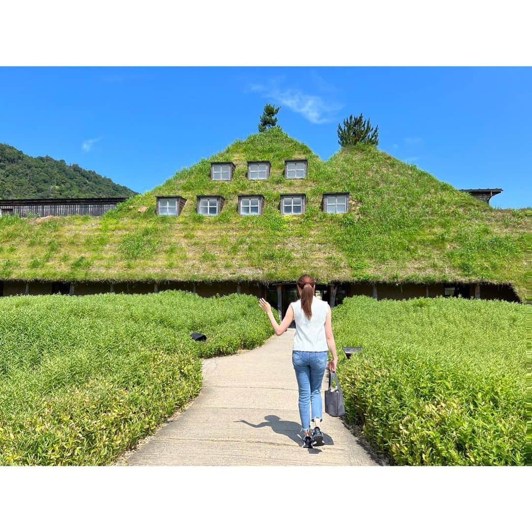 浅田梨奈さんのインスタグラム写真 - (浅田梨奈Instagram)「8月のスケジュール🌻🍉☀️  3日 本八幡スターレーン 7日 立川スターレーン(リーグのみ) 8日 北小金ボウル様 9日 富津スターレーン 10日 本八幡スターレーン 12日 コスモボウル羽島様 13日 ヤングファラオ様 19日20日 KAMON CUP(愛知川ボウル様) 22日 高尾スターレーン 23日 富津スターレーン 24日 本八幡スターレーン 28日 立川スターレーン(小林哲也Pとダブルチャレンジマッチ2シフト)  まだまだ暑い日が続きますが 体調に気をつけながら 頑張っていきましょう🌈  #bowling #ボウリング #プロボウラー #浅田梨奈 #8月スケジュール #夏を感じるジブリ感ある1枚 #こよなく大好きなクラブハリエ #photobyふたば」8月2日 9時57分 - asdrn528